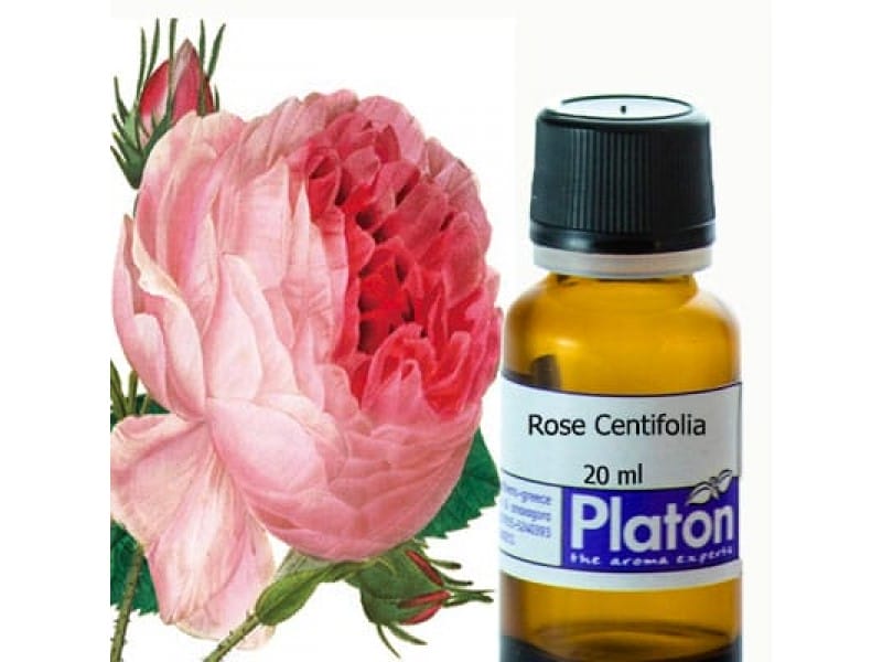 Rose Centifolia (fragrance)