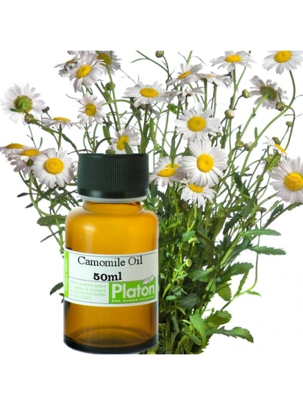 Camomile oil extract