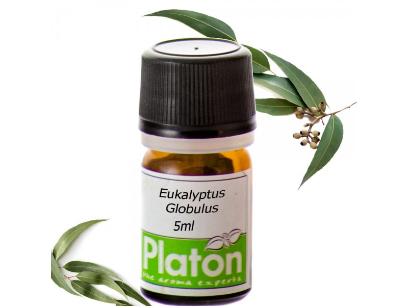 EUCALYPTUS (essential oil)