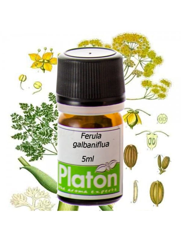GALBANUM (essential oil)