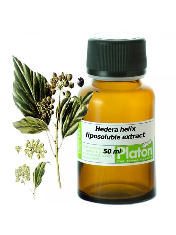 Ivy liposuble extract oil