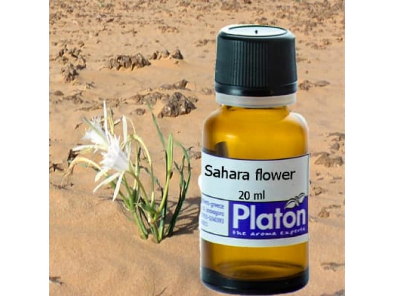 Sahara Flower (fragrance)