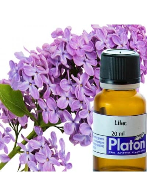 Lilac (fragrance)