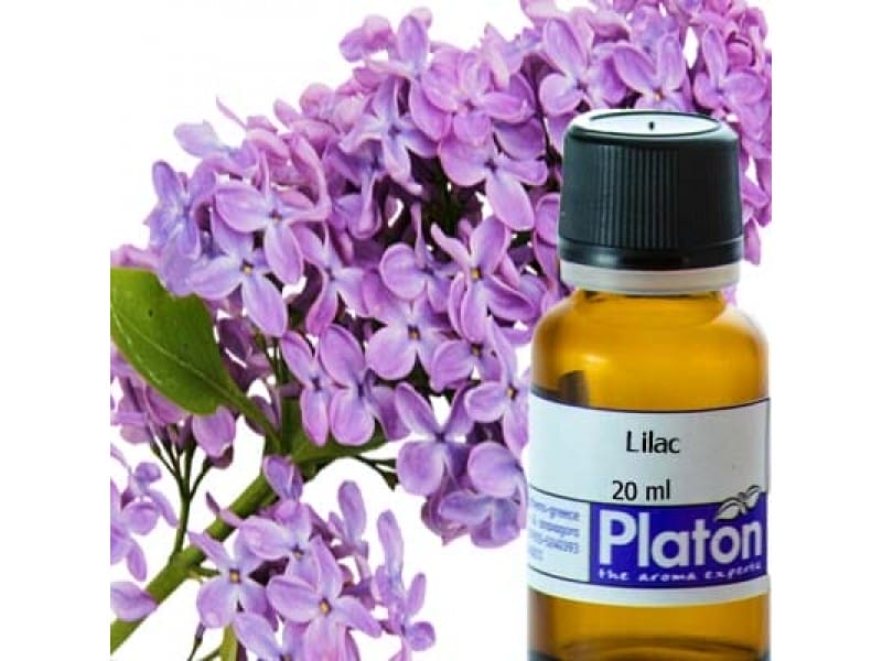 Lilac (fragrance)