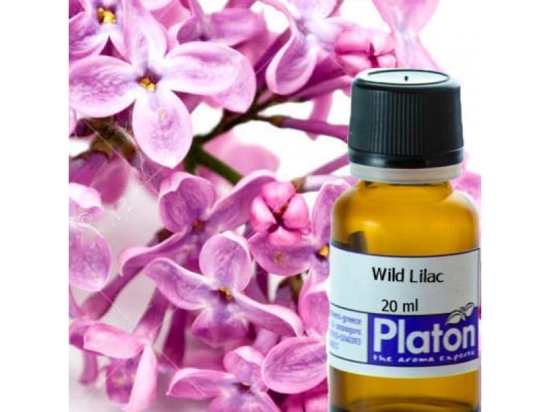 Wild Lilac (fragrance)