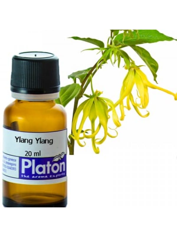 Ylang Ylang (fragrance)